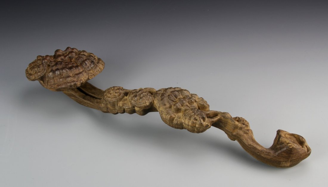Chinese Carved Chenxiangmu Ruyi Scepter: China, carved Chenxiangmu Ruyi scepter, naturalistically carved with lingzhi fugus on a gnarled branch. Length 15 in.