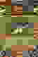 item-24980496=7