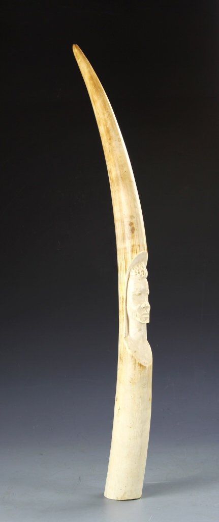 Chinese Carved Ivory Tusk: China, carved ivory tusk, in the natural form of the tusk, with mans face expertly carved into one side, with details of his hair and beard. Length 28 in.