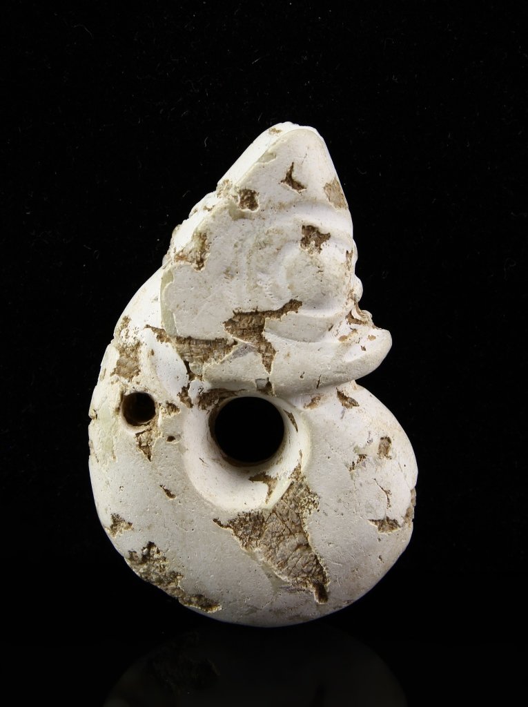 Chinese Jade Dragon (1 of 2)