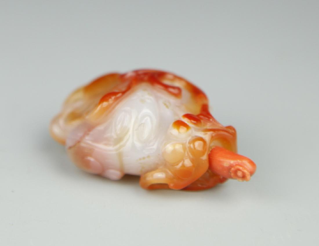 Chinese Agate Snuff Bottle (1 of 4)