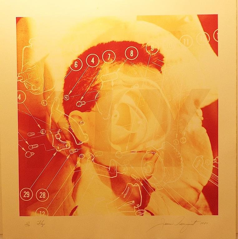 James Rosenquist, "Fly-from the "High Technology and M: Artist Name: James Rosenquist Title: Fly-from the "High Technology and Mysticism" portfolio Year: 1981 Edition: Edition Of 150 Medium: Lithograph Dimensions: 34h x 33w x 0d in Signed: </