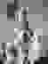 item-12028831=3