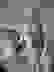 item-12028831=5