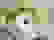 item-12028872=3