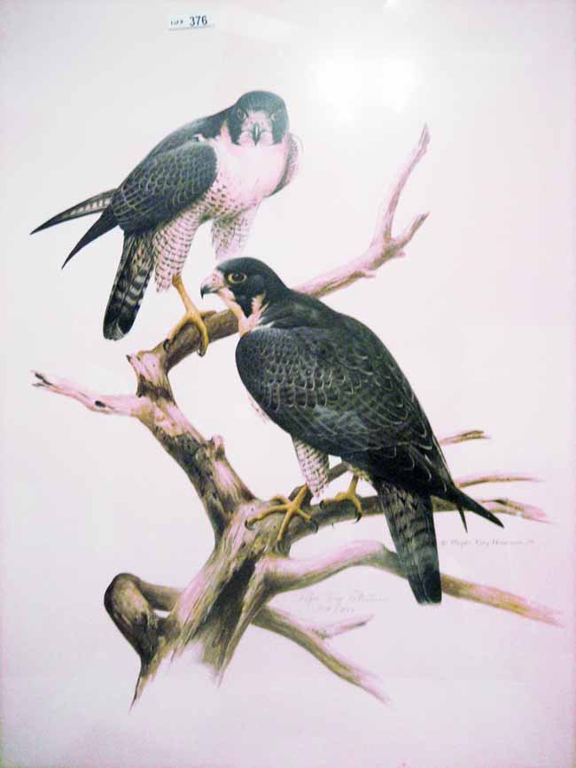 Roger Tory Peterson Peregrine Falcon Mill Pond Pre: Roger Tory Peterson American 20th century (1908-1996) East Coast artist "Peregrine Falcon" by Mill Pond Press, Venice, Florida numbered print 739/950, framed, measuringing 33"x25".