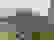item-44530069=4