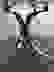 item-44530281=3