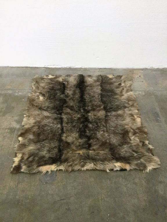 Coyote? Fur Rug (1 of 4)