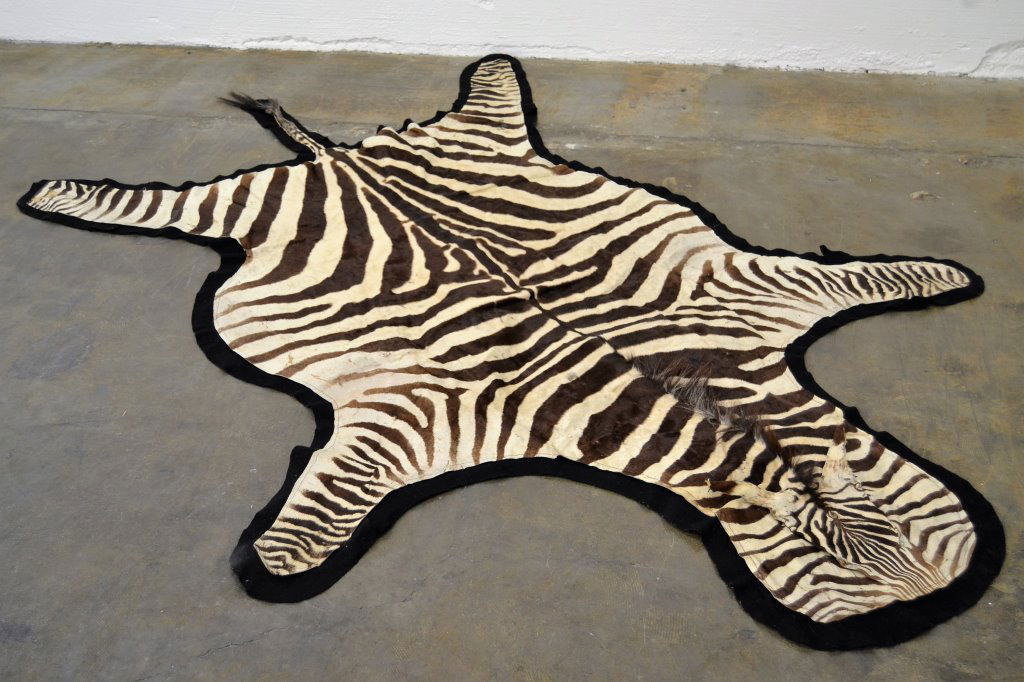 Zebra Skin Rug (1 of 5)