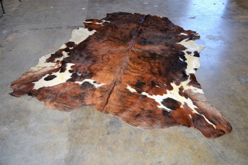 Cow Hide Rug (1 of 3)