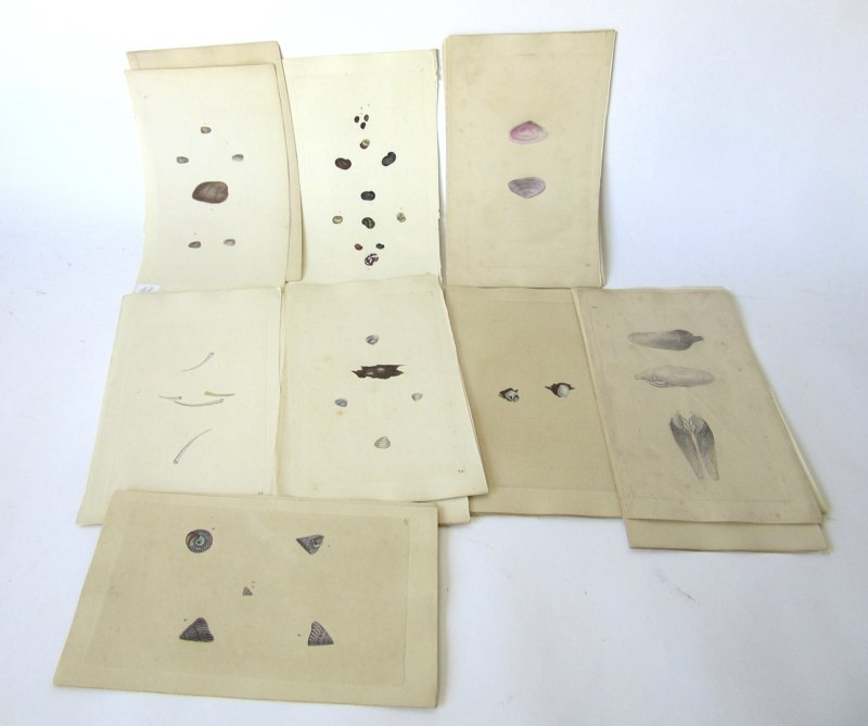 Lot of 29 19th century colored lithographs of sea (1 of 2)