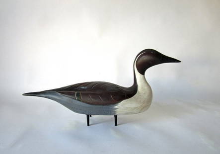 Hank Wall carved and painted Pintail duck decoy, 19: Hank Walker carved and painted Pintail duck decoy, 19 inches long.