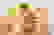 item-51049343=5