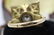 Karl Faberge 18K & Plat 2.30ct Diamond Ring - 10