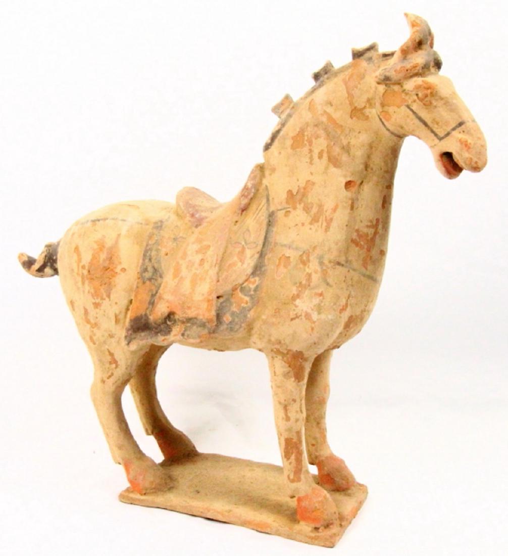 Northern Tang Dynasty 18" Terracotta Horse (1 of 12)