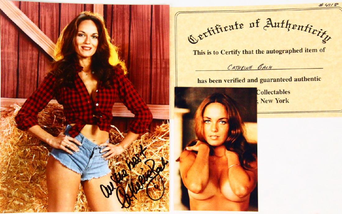 Catherine Bach Autographed 8"x10" Photo W/COA (1 of 2)