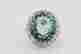 item-60650455=1