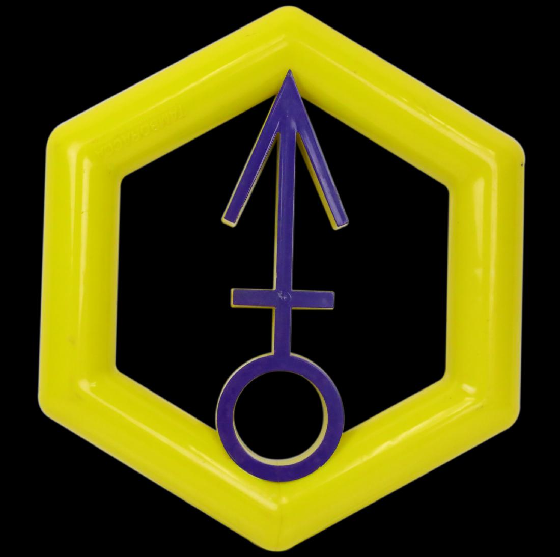 Prince 1992 Tamboracca Souvenir Sold at NPG & Glam Slam (1 of 4)