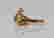 item-71852252=2