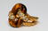 Van Cleef & Arpels Diamond, Tiger's Eye & 18K Ring - 4