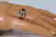 item-74640626=4