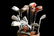 Gene Roddenberry's Golf Clubs, Bag, Pull Cart - 2