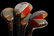 Gene Roddenberry's Golf Clubs, Bag, Pull Cart - 4