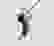 item-81196819=3
