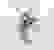 item-81196819=6