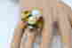 item-81751379=2