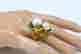 item-81751379=3