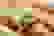 item-83158875=3