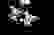 item-87143502=2