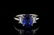 3.05ct Blue Sapphire, 0.55ctw Diamond Platinum Ring