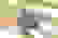 item-90480713=2