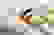 item-91917462=3
