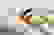 item-95759545=3