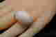item-107482514=2