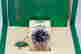 item-114151910=1