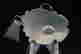 item-114851686=2