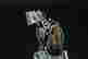 item-114851686=5