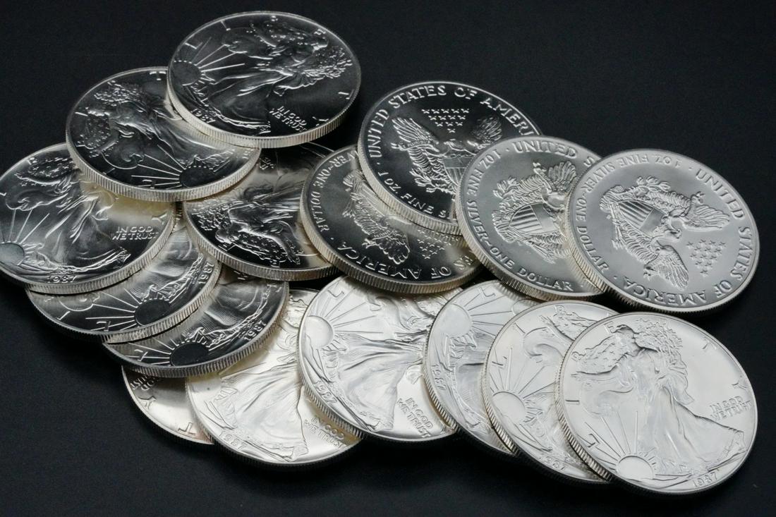 (17) 1987/1989 American Silver Eagle 1 Oz. Coins (1 of 2)