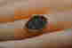 item-120344230=3