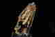 item-131650022=2