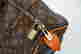 item-131650065=4