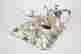 item-134032211=4
