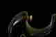 item-135571923=11