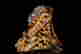 item-135996244=12