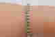 item-137011292=3